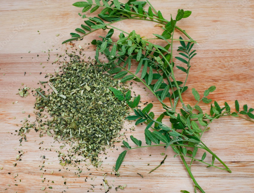 Sutherlandia Frutescens